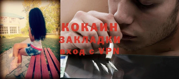 ECSTASY Богородск