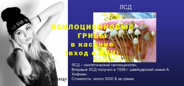 ECSTASY Богородск
