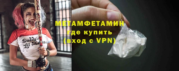 индика Богданович