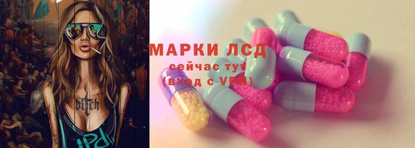 индика Богданович