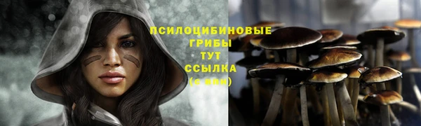 ешки Верея