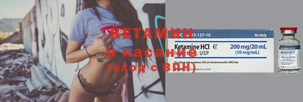 индика Богданович