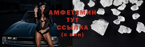 индика Богданович