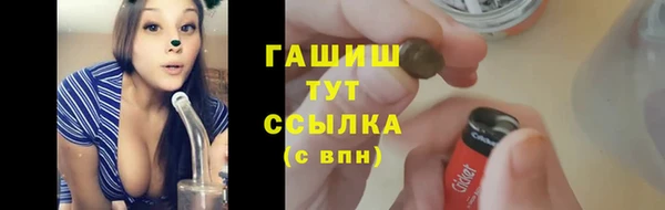 индика Богданович