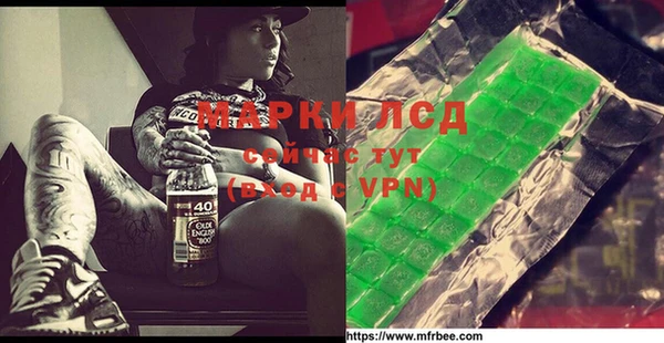 прущие грибы Железноводск