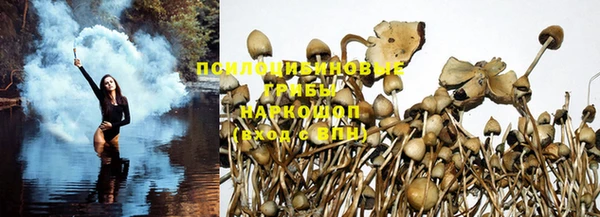 ешки Верея