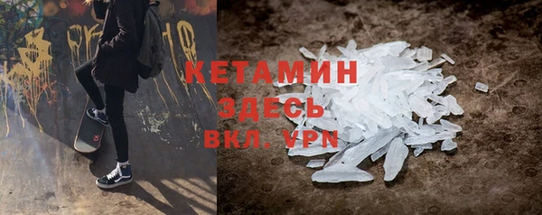 индика Богданович