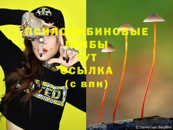 ECSTASY Богородск