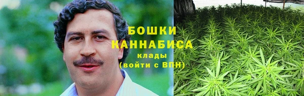 ECSTASY Богородск