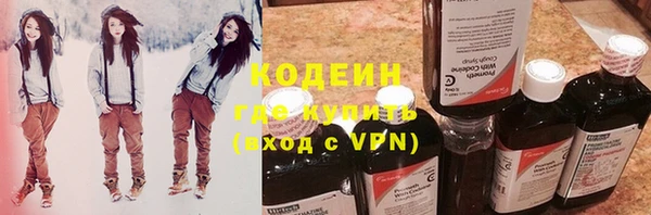 индика Богданович