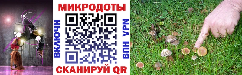 KRAKEN вход  купить   Новоржев  Галлюциногенные грибы мухоморы 