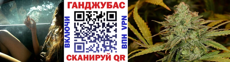 купить наркотики сайты  Новоржев  Канабис MAZAR 